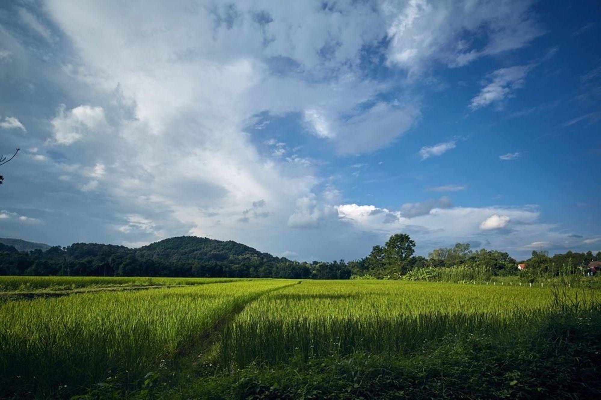 Bambuh Boutique Homestay (Adults Only) Chiang Rai Exterior foto